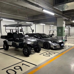 Voiturette de golf Falcon Di Nuovo Design, scooter à trois roues, prix bas, surélevée, en provenance de Chine, grand succès commercial - Product Image 6