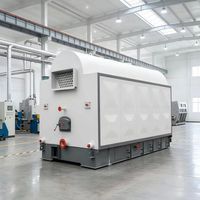 Caldera de Calefacción de Agua Caliente a Biomasa, Carbón, Astillas de Madera y Pellets DZL de 0.7MW, 1.4MW, 2.8MW, 4.2MW, 5.6MW, 7MW, 10.5MW, 14MW, 28MW en Venta