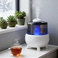 Humidificateur d'air portable mini électrique 2L en plastique à ultrasons, diffuseur d'huiles essentielles à commande tactile pour voitures et hôtels