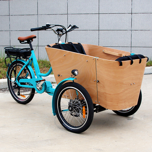 Tricycle électrique familial OEM néerlandais à 3 roues avec siège <span class=keywords><strong>avant</strong></span> pour enfants, moteur 250W, cadre en aluminium, vélo de route à 3 roues, tricycle cargo électrique - Product Image 1