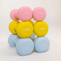 Support de fitness de gymnastique portable pour femmes d'approvisionnement d'usine avec tête carrée en fonte de couleur petit ensemble d'haltères en vinyle néoprène