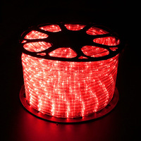 Guirlandes lumineuses LED étanches IP65 pour décorations de Noël, de mariages et de fêtes en extérieur, utilisables en intérieur/extérieur