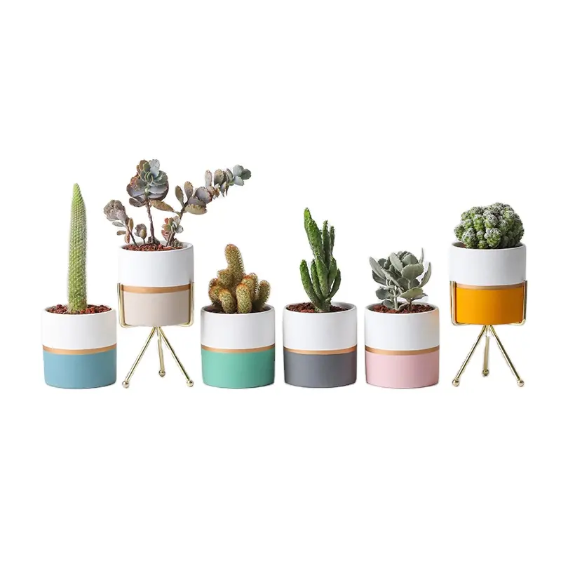 Keramische Bloempot Indoor Pot Plant Planter Groen Geglazuurde Interieur Sets Vaas Dubbele Kleur Goud Succulente Cactus Bloempotten