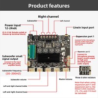 Módulo Amplificador de Audio Digital TPA3116D2 5.0, Configuración de 21 Canales, Salida de Subwoofer de 50W+2+100W, Expandible, Versión para China Continental