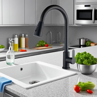 Robinet de cuisine commercial moderne à poignée unique en acier inoxydable finition brossée noire fonction eau chaude froide céramique classique