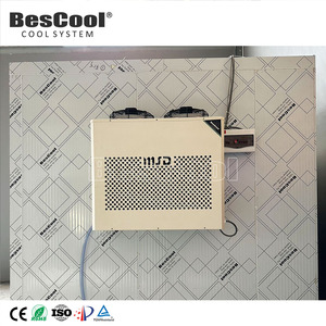Unidad de refrigeración monobloque pequeña de alta eficiencia, condensador automático a la venta - Product Image 2