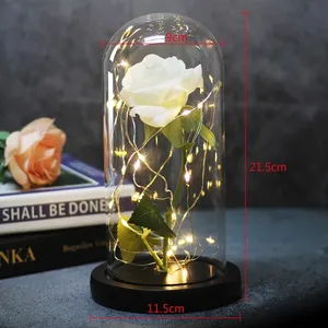 Rose éternelle artificielle avec lumière LED, La Belle et la Bête sous cloche en verre, décoration de Noël pour la maison, cadeau pour la fête des mères, la Saint-Valentin, le Nouvel An - Product Image 3