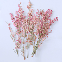 Bunga Rumput Muhly Merah Muda Dengan Cabang Untuk Scrapbooking Resin Epoksi Ramah Lingkungan Bunga Asli Terpres DIY