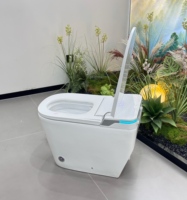 En stock, toilette intelligente en céramique, hauteur ADA confortable, lumière nocturne LED, affichage LED, siège chauffant, chasse d'eau automatique, toilette intelligente