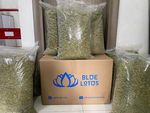 Semillas de flores de papaya masculinas amarillas verdes secas para hierbas Productos agrícolas de Vietnam - Product Image 3