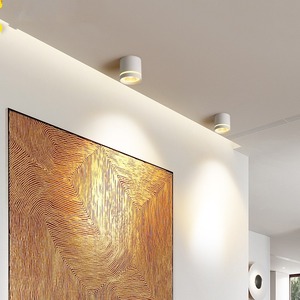 10W 15W 20W y 25W Iluminación interior SMD Led Downlight Cuerpo de aluminio Montado en superficie en blanco y negro - Product Image 4