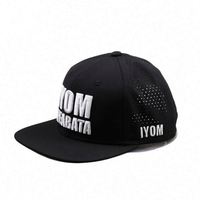 Casquette de baseball légère 5 panneaux perforée en nylon avec visière incurvée et patch PVC, confortable pour la pêche, vente en gros fabricant