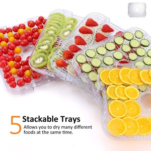 Máy sấy thực phẩm điện nhỏ gọn cho gia đình – Máy sấy di động 5 khay – Nhà sản xuất OEM/ODM - Product Image 4