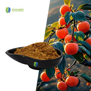 SLBIO fournit <span class=keywords><strong>de</strong></span> la poudre d'extrait <span class=keywords><strong>de</strong></span> feuille <span class=keywords><strong>de</strong></span> kaki <span class=keywords><strong>de</strong></span> qualité supérieure 10:1, qualité alimentaire - Product Image 2