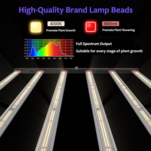 Luz LED comercial de alto rendimiento de 1000W, espectro personalizado para cultivo de plantas, Chip emisor azul y rojo para área de cultivo interior de 5X5 - Product Image 4