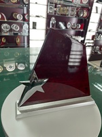 Trophée sportif personnalisé Récompenses Piano fini bois massif acajou étoile plaque en bois vierge
