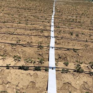 Le jardinier paresseux rêve : il suffit de brancher le robinet, pas de perçage requis - Product Image 4