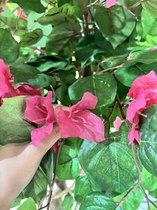 A-LIFE Arbre artificiel <span class=keywords><strong>de</strong></span> bougainvillier <span class=keywords><strong>de</strong></span> 122 cm, <span class=keywords><strong>de</strong></span> haute qualité, écologique, durable, rouge, ornement <span class=keywords><strong>de</strong></span> <span class=keywords><strong>jardin</strong></span> d'extérieur, vente directe - Product Image 5