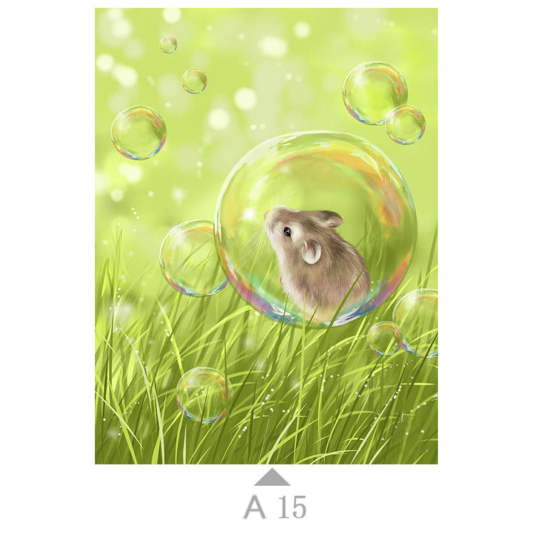 Multicolor-A15