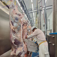 Ligne d'abattage de bétail, équipement d'abattage de vaches, équipement d'abattage de taureaux, machinerie d'abattoir