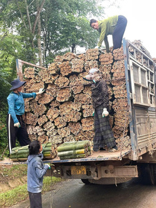 กรอบว่าวไม้ไผ่ยืดหยุ่นแบบเวียดนามพื้นผิวเรียบและไม้ไผ่ยืดหยุ่นสูงสำหรับว่าวมืออาชีพ - Product Image 3