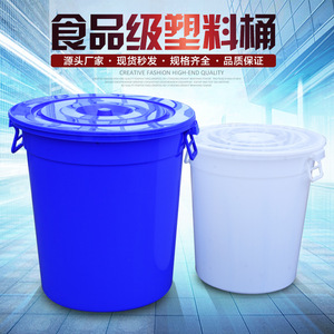 Cubo de Plástico de Grado Alimenticio con Tapa, Gran Capacidad 30L+, Almacenamiento de Agua Doméstico, Engrosado, Blanco y Azul - Product Image 1
