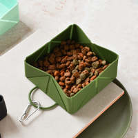 Bols et mangeoires pliables pour animaux de compagnie, bols de nourriture d'eau portables pour chiens et chats