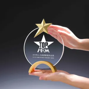 YZ Honra de cristal K9 Troféu De Vidro De Cristal Prêmio De Impressão A Cores De Alta Qualidade Metal Star Decor Top Troféu Placa