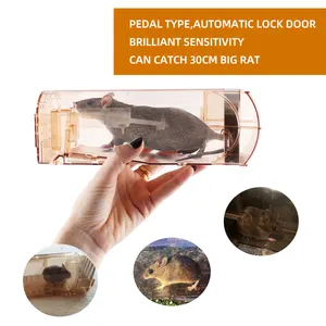 High Effective Wholesale Reusable Humane Plastic Mouse Trap Small Rats Catcher