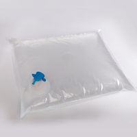 Sac Bag-in-Box à valve papillon 5L 10L 20L pour jus, café, boissons – Sac de stockage aseptique transparent pour liquides
