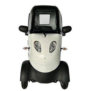 Mini voiture électrique 2024, la moins chère de Chine, mini voiture électrique très vendue, 800w, 50km d'autonomie - Product Image 1
