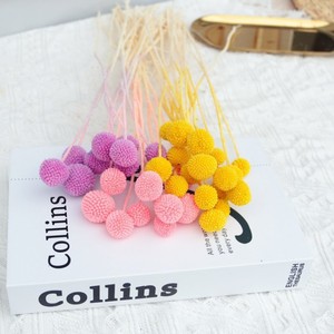 10 pièces/lot Fleurs séchées naturelles colorées <span class=keywords><strong>rouge</strong></span> <span class=keywords><strong>cerise</strong></span> pour arrangements floraux DIY de remise de diplôme, préservées <span class=keywords><strong>et</strong></span> longue durée - Product Image 4