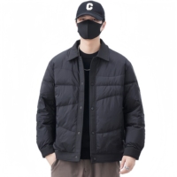Manteau d'hiver pour homme, marron, à col, style doudoune, boutonné, chaud, avec poignets côtelés, style business casual
