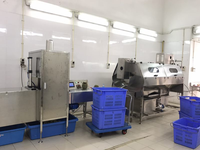RVS-ananasverwerkingslijn voor de productie van sap, jam en ingeblikt fruit