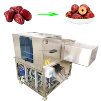 Dadels Fruit Pitting Machine Dadelpalmzaden Kernel Verwijderen Machine Core Remover Prijs Te Koop