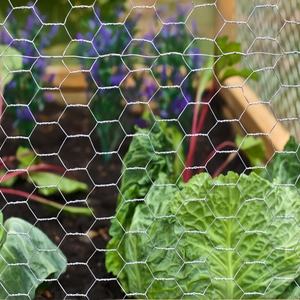 Grillage hexagonal galvanisé en gros pour volailles – Rouleau de treillis métallique pour poulets - Product Image 6