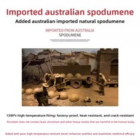 Pot en argile pour décoction à base de plantes, pot de préparation de médecine traditionnelle chinoise, pot médicinal domestique, pot chinois spécifique pour cuisinière à gaz