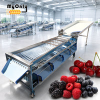 Mijn kleine olijven-, aardappel-, fruit- en knoflooksorteermachine, geschikt voor het reinigen en sorteren op maat, te koop.
