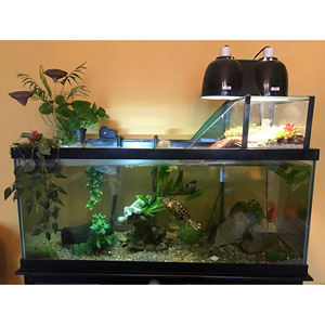 Fabricage Huisdecoratie Glas Vis Tank Tafel Koffie Aquarium Met Luchtpomp - Product Image 3