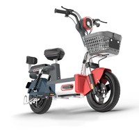 Vélo Électrique Urbain Adulte 14 Pouces Dernier Modèle en Gros, Moteur Brushless Haute Vitesse 48V, Cadre en Acier Inoxydable, Batterie au Plomb