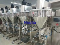 Machine de remplissage de poudre à vis sans fin 200g pour assaisonnements épicés, condiments, poudre de farine de boulangerie, avec fonction de pesage et d'emballage en sachet