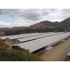 बिक्री के लिए चीन आउटडोर घोड़ा स्थिर स्टील फ्रेम पोर्टेबल घोड़ा अस्तबल - Product Image 5