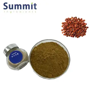 High Quality Wild Jujube Extract 2% Jujubosides Powder Spina Date Seed Extract Powder