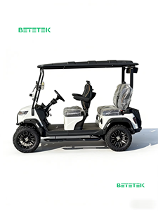 Carrito de Golf LSV de Carga Rápida para 4 Personas, Asientos Acolchados, Tracción Estable, para Clubes, Fabricado con Tecnología Automotriz de Cuatro Núcleos - Product Image 5