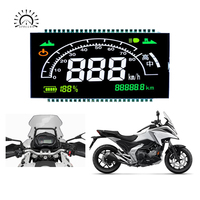 Pantalla LCD Segmentada VA de Alto Contraste para Motocicleta, Panel de Velocímetro Digital Multicolor, OEM ODM