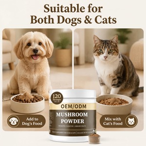 Mezcla de Hongos Orgánicos Patentada OEM para Perros y Gatos, Apoyo Inmunológico, Salud Cognitiva, Suplemento en Polvo de Rápida Absorción - Product Image 3