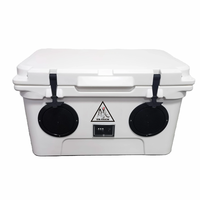 Glacière de coffre 45L en PE étanche, prête pour l'aventure, avec haut-parleurs, pour vin, nourriture, canettes, glace et confitures - Organisateur de rangement polyvalent