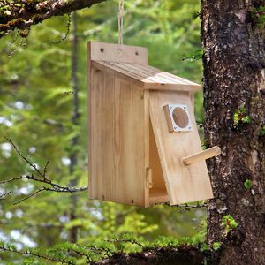 Nichoir suspendu en bois extérieur de 12 pouces avec couvercle de protection contre les prédateurs en métal - Product Image 5