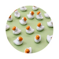 100 pièces de mini-oiseaux en résine, canards, ornements, figurines de canards minuscules 3D en vrac pour jardin féerique, paysage, décoration de gâteau, artisanat