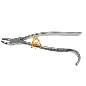 Wolf Tooth Forceps Small Animal Dental Care Forceps Veterinary Instruments 9.5" Goat Sheep Small Animals Dantel Care